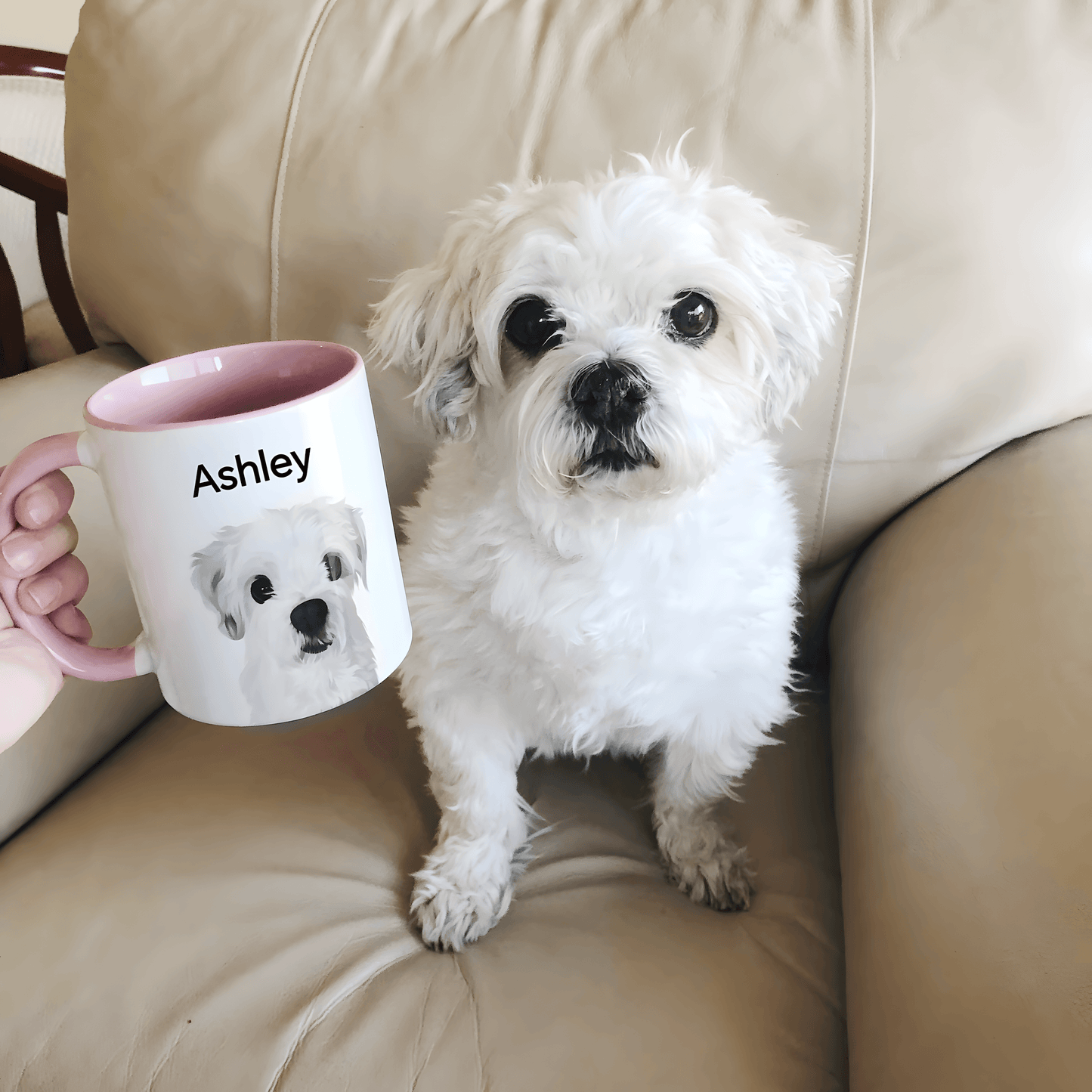 Custom Pet Cartoon Mug, Custom Pet Art mug, Personalized Cartoon Portrait, Custom Pet Art, Gift Idea for Dog Lovers, Veterinarian gift, Pet Memorial, Dog Owner - ecochicdelight